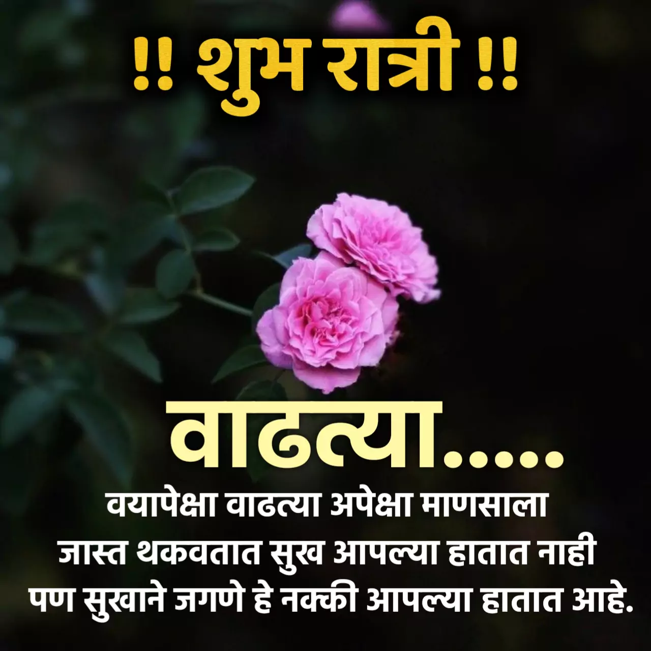 Good Night Quotes in marathi